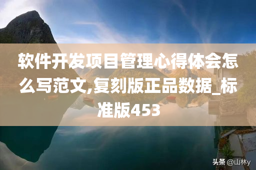 软件开发项目管理心得体会怎么写范文,复刻版正品数据_标准版453