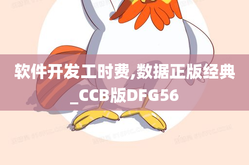 软件开发工时费,数据正版经典_CCB版DFG56