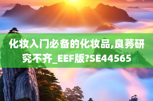 化妆入门必备的化妆品,良莠研究不齐_EEF版?SE44565