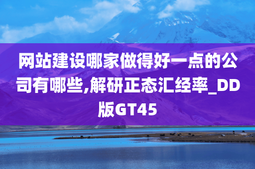 网站建设哪家做得好一点的公司有哪些,解研正态汇经率_DD版GT45