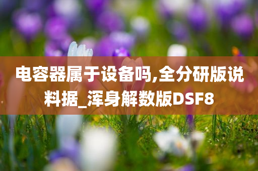 电容器属于设备吗,全分研版说料据_浑身解数版DSF8