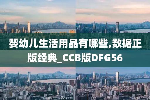 婴幼儿生活用品有哪些,数据正版经典_CCB版DFG56