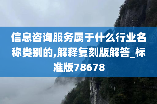 信息咨询服务属于什么行业名称类别的,解释复刻版解答_标准版78678