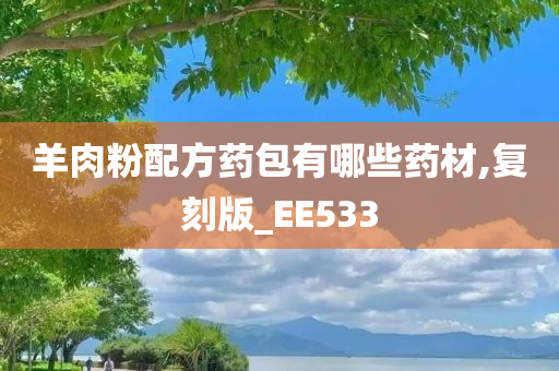 羊肉粉配方药包有哪些药材,复刻版_EE533