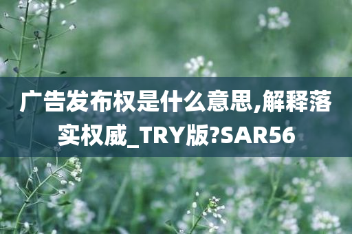 广告发布权是什么意思,解释落实权威_TRY版?SAR56