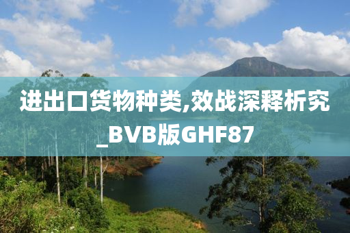 进出口货物种类,效战深释析究_BVB版GHF87