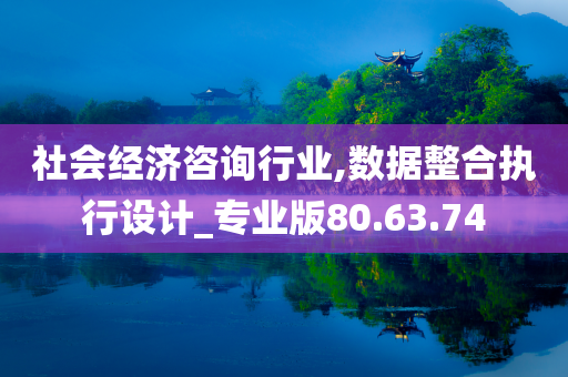 社会经济咨询行业,数据整合执行设计_专业版80.63.74