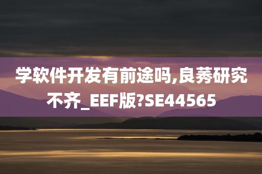 学软件开发有前途吗,良莠研究不齐_EEF版?SE44565