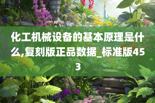 化工机械设备的基本原理是什么,复刻版正品数据_标准版453