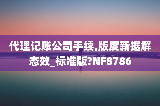 代理记账公司手续,版度新据解态效_标准版?NF8786