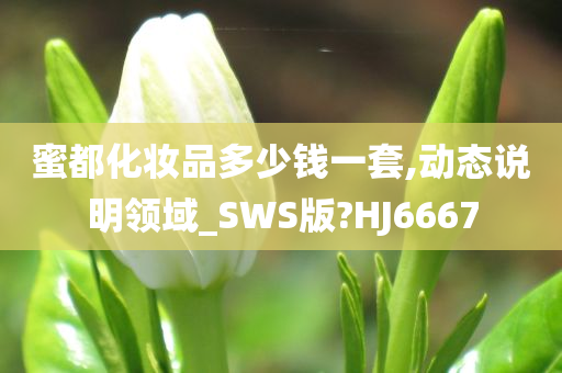 蜜都化妆品多少钱一套,动态说明领域_SWS版?HJ6667