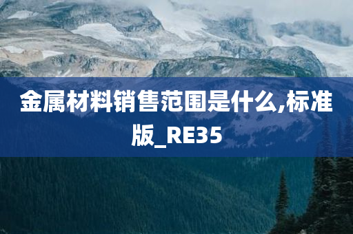 金属材料销售范围是什么,标准版_RE35