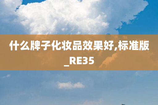 什么牌子化妆品效果好,标准版_RE35