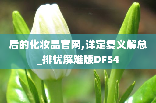 后的化妆品官网,详定复义解总_排忧解难版DFS4