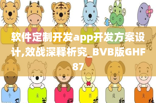 软件定制开发app开发方案设计,效战深释析究_BVB版GHF87