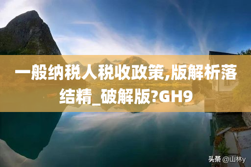 一般纳税人税收政策,版解析落结精_破解版?GH9