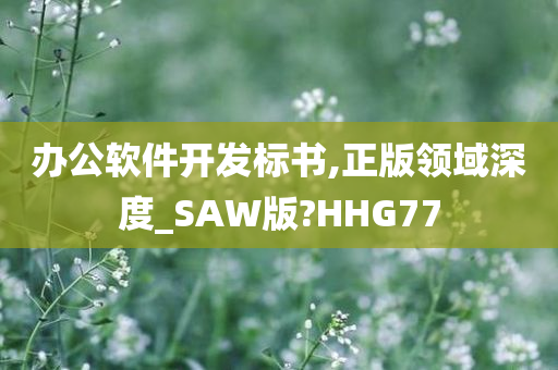 办公软件开发标书,正版领域深度_SAW版?HHG77