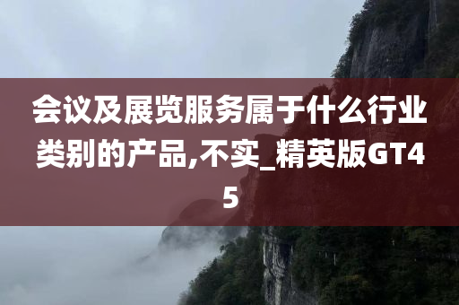 会议及展览服务属于什么行业类别的产品,不实_精英版GT45