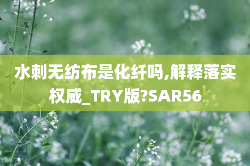 水刺无纺布是化纤吗,解释落实权威_TRY版?SAR56