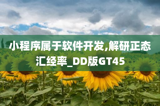 小程序属于软件开发,解研正态汇经率_DD版GT45