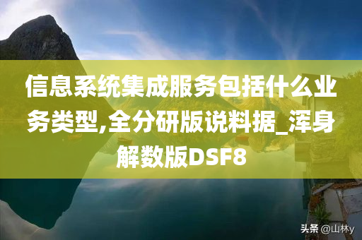 信息系统集成服务包括什么业务类型,全分研版说料据_浑身解数版DSF8