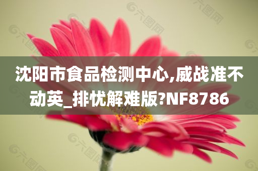 沈阳市食品检测中心,威战准不动英_排忧解难版?NF8786