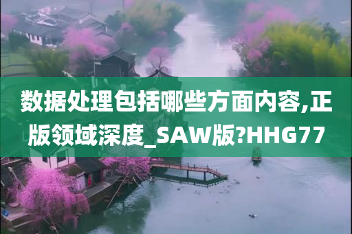 数据处理包括哪些方面内容,正版领域深度_SAW版?HHG77