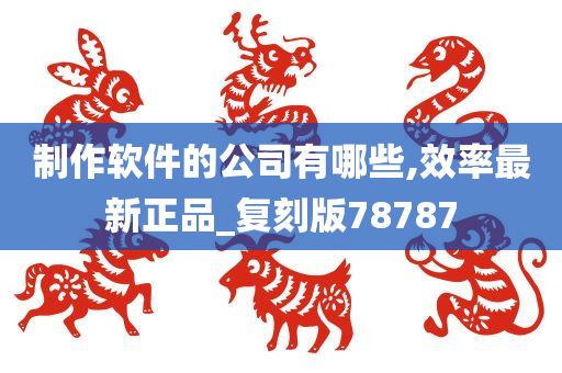 制作软件的公司有哪些,效率最新正品_复刻版78787