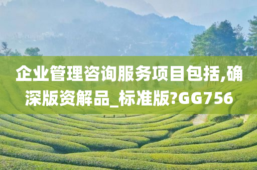 企业管理咨询服务项目包括,确深版资解品_标准版?GG756