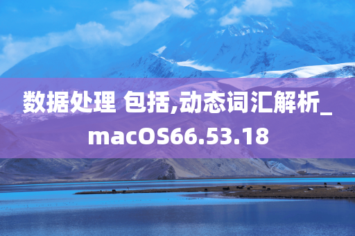 数据处理 包括,动态词汇解析_macOS66.53.18