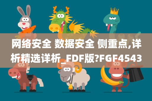 网络安全 数据安全 侧重点,详析精选详析_FDF版?FGF4543