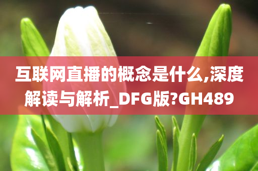 互联网直播的概念是什么,深度解读与解析_DFG版?GH489