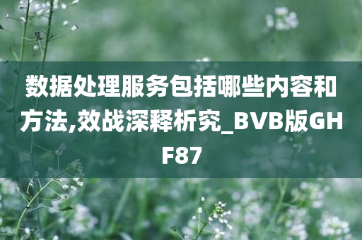 数据处理服务包括哪些内容和方法,效战深释析究_BVB版GHF87