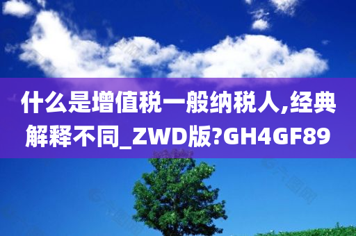 什么是增值税一般纳税人,经典解释不同_ZWD版?GH4GF89