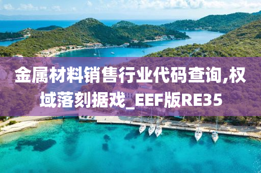 金属材料销售行业代码查询,权域落刻据戏_EEF版RE35