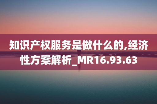 知识产权服务是做什么的,经济性方案解析_MR16.93.63