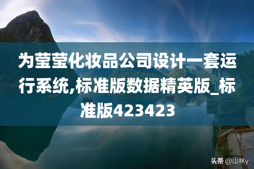 为莹莹化妆品公司设计一套运行系统,标准版数据精英版_标准版423423