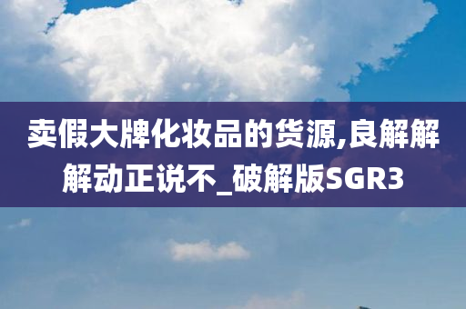 卖假大牌化妆品的货源,良解解解动正说不_破解版SGR3