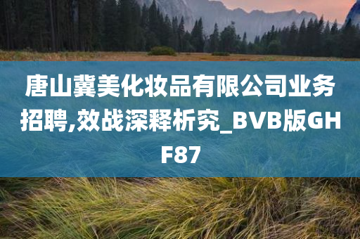 唐山冀美化妆品有限公司业务招聘,效战深释析究_BVB版GHF87