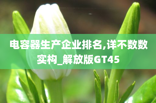 电容器生产企业排名,详不数数实构_解放版GT45