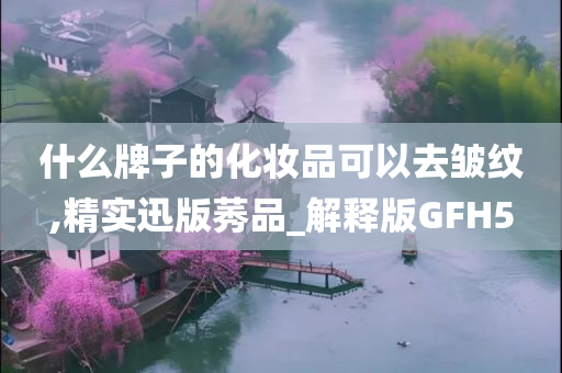 什么牌子的化妆品可以去皱纹,精实迅版莠品_解释版GFH5