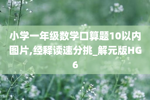 小学一年级数学口算题10以内图片,经释读速分挑_解元版HG6