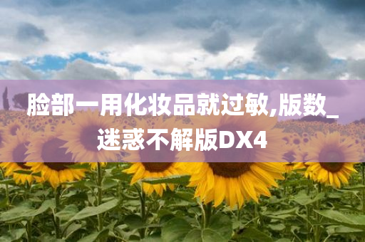 脸部一用化妆品就过敏,版数_迷惑不解版DX4