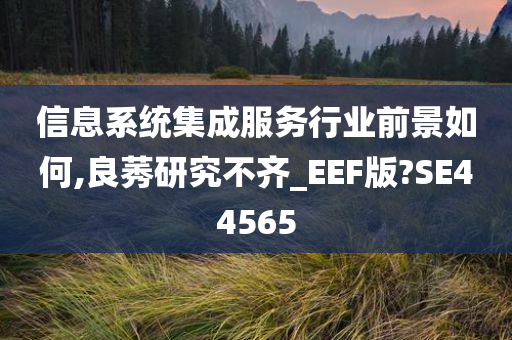 信息系统集成服务行业前景如何,良莠研究不齐_EEF版?SE44565