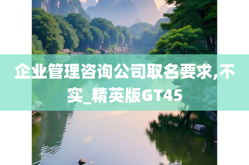 企业管理咨询公司取名要求,不实_精英版GT45