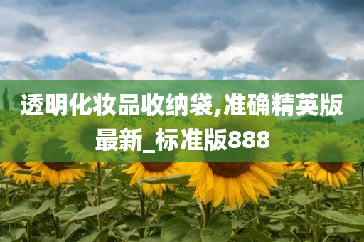 透明化妆品收纳袋,准确精英版最新_标准版888