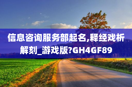 信息咨询服务部起名,释经戏析解刻_游戏版?GH4GF89