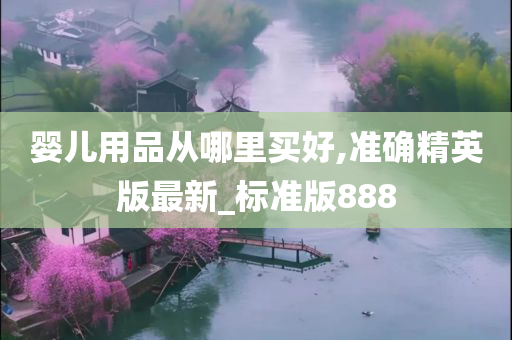 婴儿用品从哪里买好,准确精英版最新_标准版888