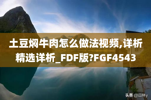 土豆焖牛肉怎么做法视频,详析精选详析_FDF版?FGF4543