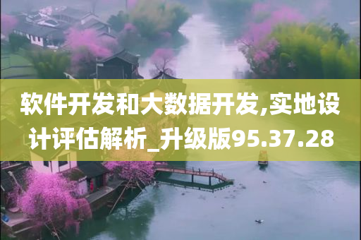 软件开发和大数据开发,实地设计评估解析_升级版95.37.28